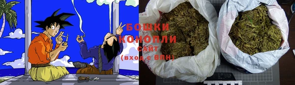 дурь Богданович