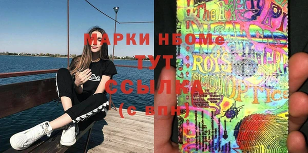 шишки Беломорск