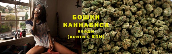 шишки Беломорск